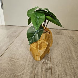 Può includere: Un vaso da fiori dorato a forma di testa umana con una pianta verde a foglie che cresce dalla cima.