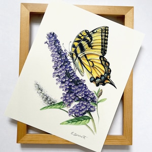 Tiger Swallowtail Butterfly Art Print