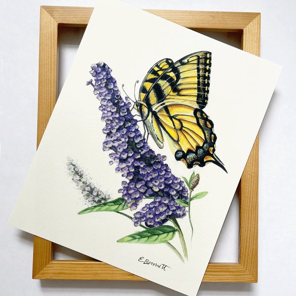Tiger Swallowtail Butterfly Art Print