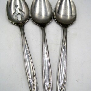 Lot de 3 cuillères de service solides LAWNCREST LAWNCREST et couverts à fentes Rogers IS Stainless USA