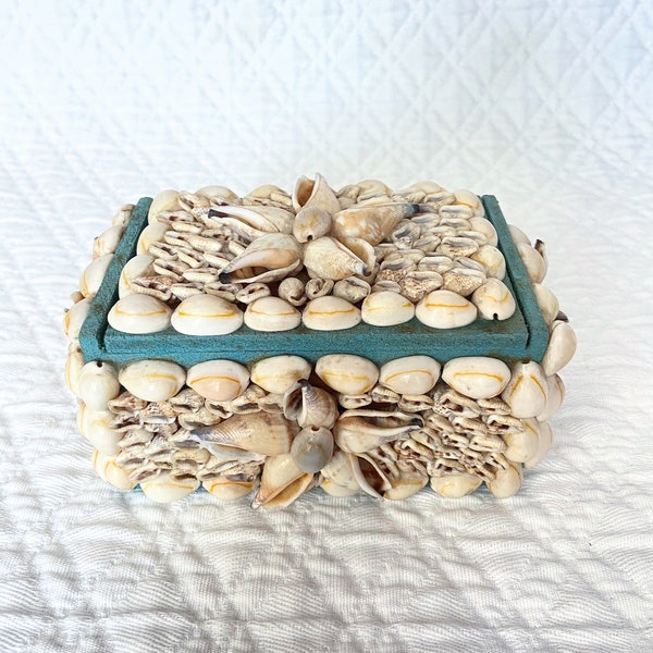 Trinket Box Jewelry Box Seashell Box Seashell Decor Seashell Souvenir Coastal Decor Vanity Bathroom Storage Jewelry Storage Memento Box