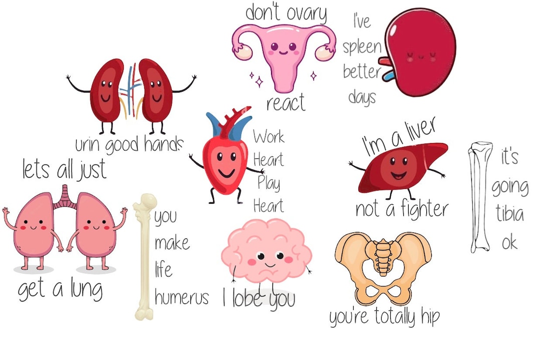 Human Anatomy Pun Stickers Etsy