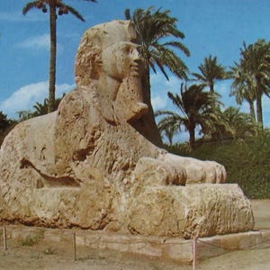 Le Sphinx de Sakkarah. Carte postale importée/ancienne. Texte en arabe et en anglais au dos. Vers les années 1970