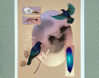 Starlings Art Print: Murmuration Divination, Bird Illustration