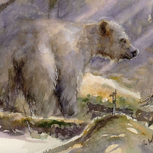 Arte/cartão de felicitações em branco do Urso Espírito do Alasca de 5" x 7" com envelope para correspondência e capa protetora transparente