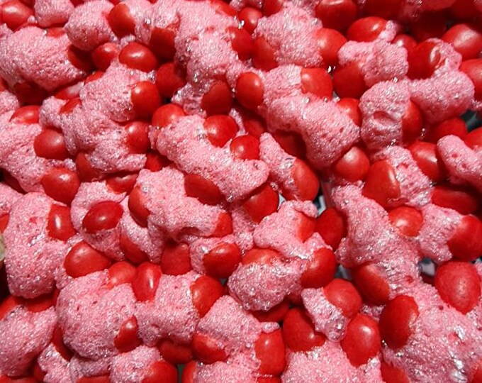 Freeze dried mini red hots candy 2 2 oz etsy