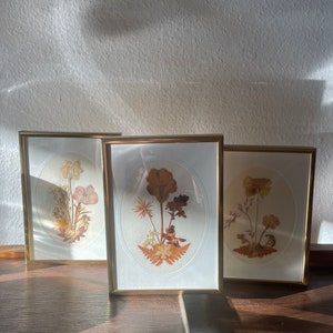 Set of 3 Vintage Framed Pressed Flower Bouquets | Dried Pressed Flower Art | Vintage Framed Art | Metal Gold Frame | Vintage Home Decor
