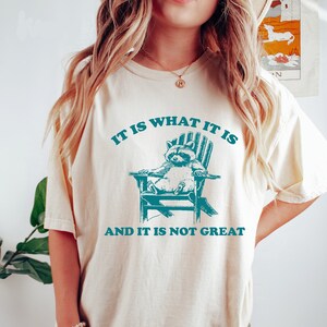 It Is What It Is And It Is Not Great Sweatshirt, Mental Health Sweatshirt, Funny Sweatshirt Women, Meme Sweatshirt, Raccoon Shirt, Gag Tee