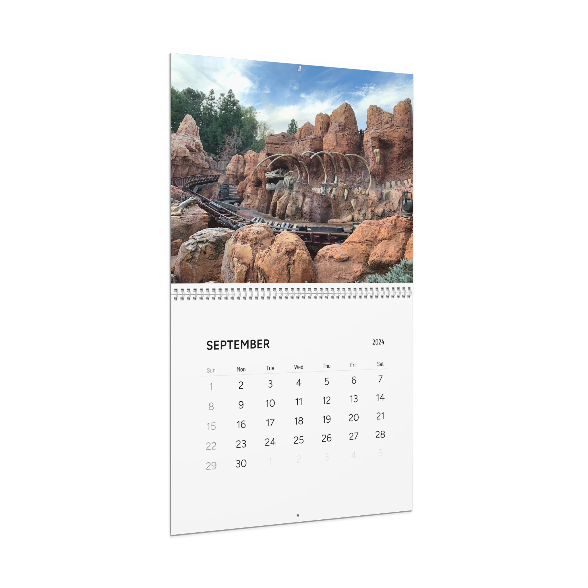 My favorite photos from the Disney Parks Wall Calendar 2024 Great Gift