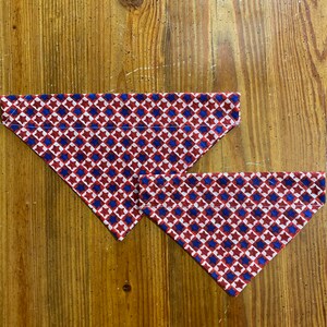 Pañuelo con estrellas rojas y azules sobre el cuello