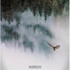 Puede incluir: Póster de la serie de televisión Twin Peaks. La imagen presenta una escena de bosque con un búho en vuelo. El texto en la parte superior dice "25 YEARS LATER IT IS HAPPENING AGAIN." El título del programa y "COMING SOON" están en la parte inferior.