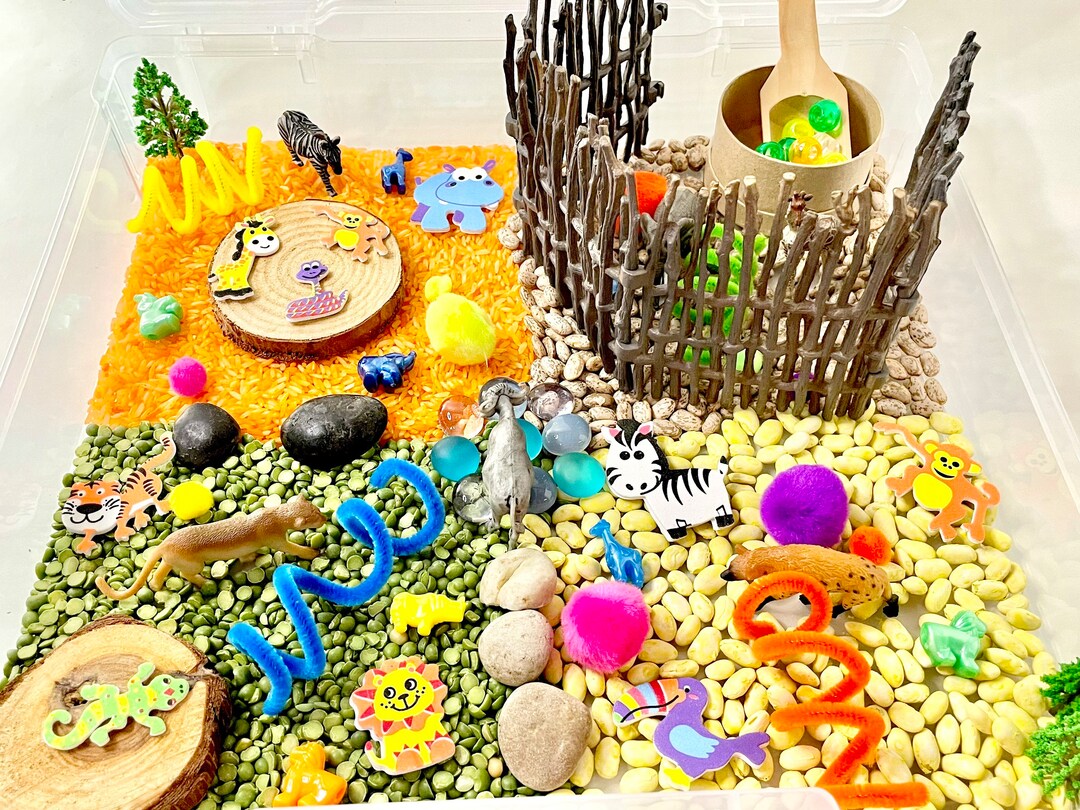 To the Zoo Sensory Bin Zoo Sensory Bin Zoo Sensory Kit Etsy