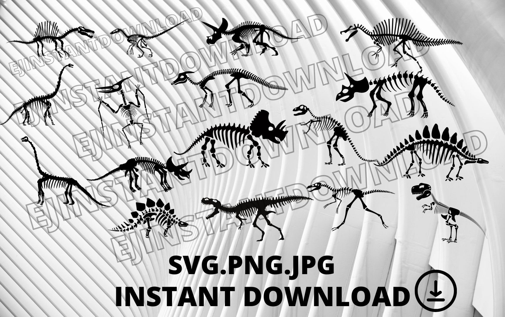 Dinosaur Silhouette Templates Jurassic Animal Dinosaur Bones SVG Bone