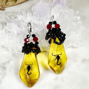 May include: A pair of dangle earrings with a black scorpion encased in yellow resin. The earrings are accented with black beads and red glass beads.