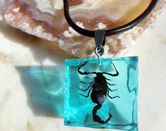May include: A black scorpion encased in a clear blue resin pendant on a black leather cord necklace.