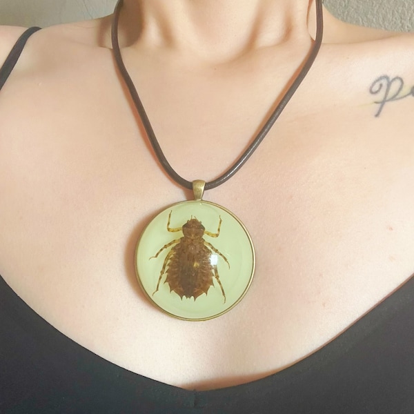 Real Dragonfly Larvae Oversized Necklace With Genuine Leather Cord, Dragonfly Nymph Specimen Gothic Necklace, Glow in Dark, Novelty Scary