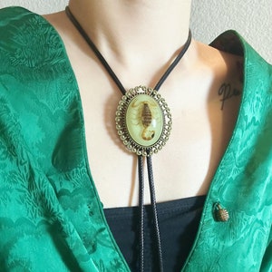 Real Scorpion Bolo Tie, Gothic Western Insect Necklace, Glow in the Dark Specimen Cowboy Necktie, Retro Unisex Jewelry