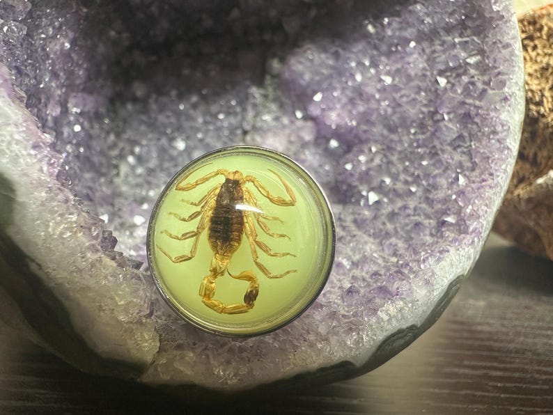 May include: A circular cabochon featuring a preserved brown scorpion encased in a light yellow, translucent resin. The scorpion is centered with its tail curved upward, displaying visible legs and segmented body details within the smooth dome.