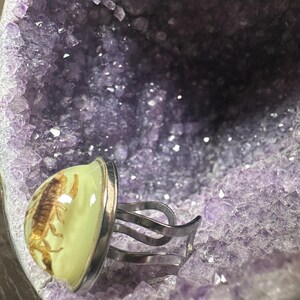 May include: A silver-toned adjustable ring featuring a clear, dome-shaped resin cabochon that encapsulates a preserved brown scorpion. The ring is set against a background of a large, hollow, purple amethyst geode with crystalline textures.
