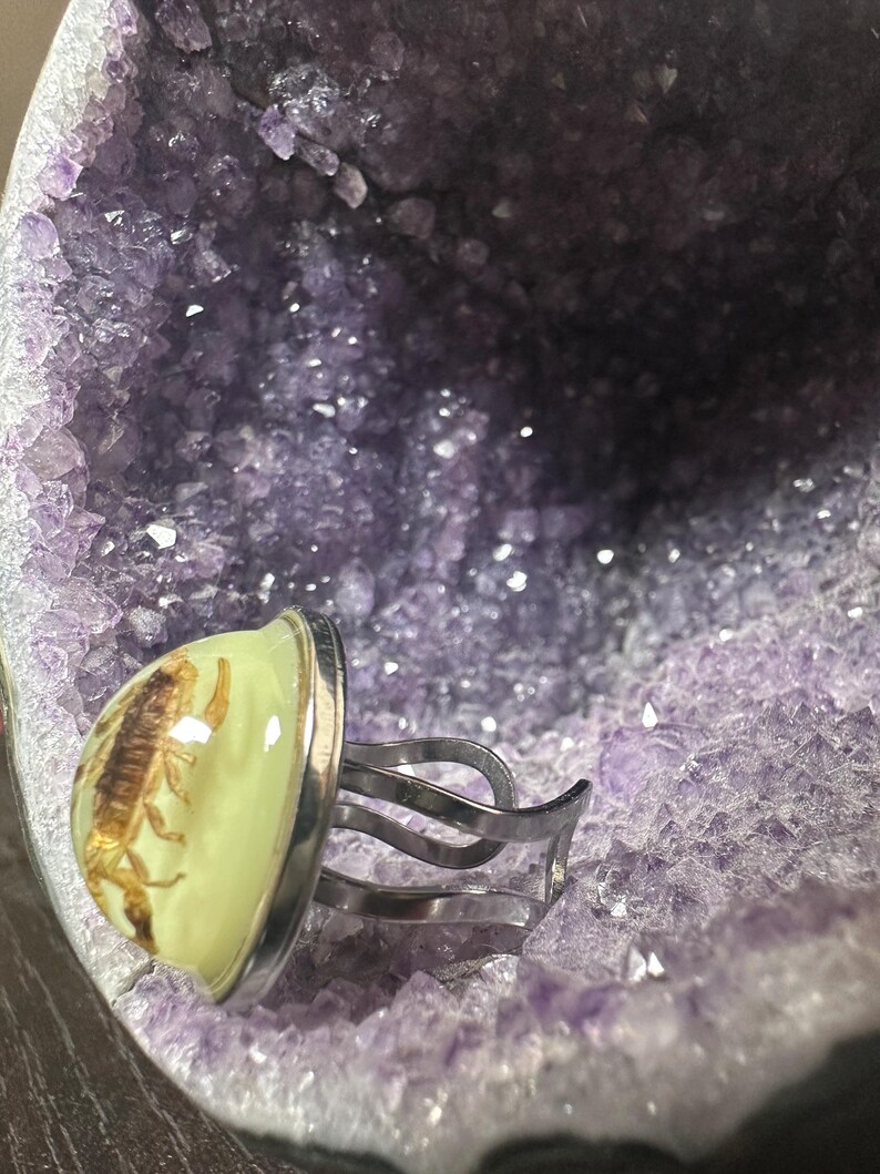 May include: A silver-toned adjustable ring featuring a clear, dome-shaped resin cabochon that encapsulates a preserved brown scorpion. The ring is set against a background of a large, hollow, purple amethyst geode with crystalline textures.