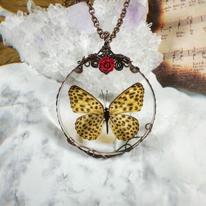 May include: A copper wire wrapped pendant necklace features a round glass dome with a preserved yellow and black spotted butterfly. A small red flower is attached to the top of the pendant.