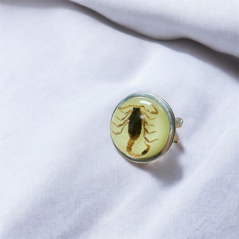 May include: A circular ring featuring a preserved brown scorpion encased in a smooth, translucent, pale yellow resin dome. The setting is made of polished silver-toned metal, showcasing the detailed anatomy of the arachnid specimen.