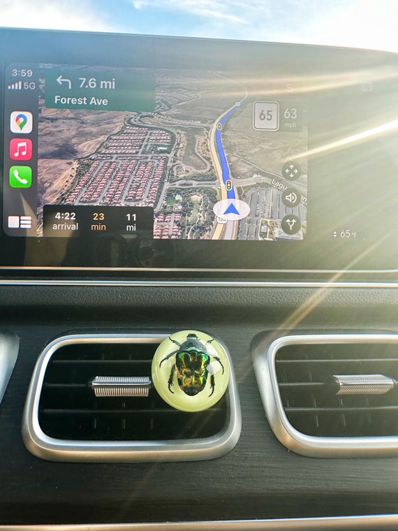 Real Beetle Glow-in-the-Dark Car Vent Clip, Gothic Aromatherapy Diffuser, Unique Insect Decor, Luminous Bug Gift