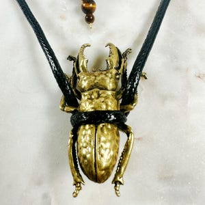 May include: A gold-colored beetle pendant on a black leather cord. The beetle has a textured surface and is detailed with intricate features.
