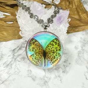 May include: A silver chain necklace with a round pendant featuring a yellow and black butterfly with iridescent accents.