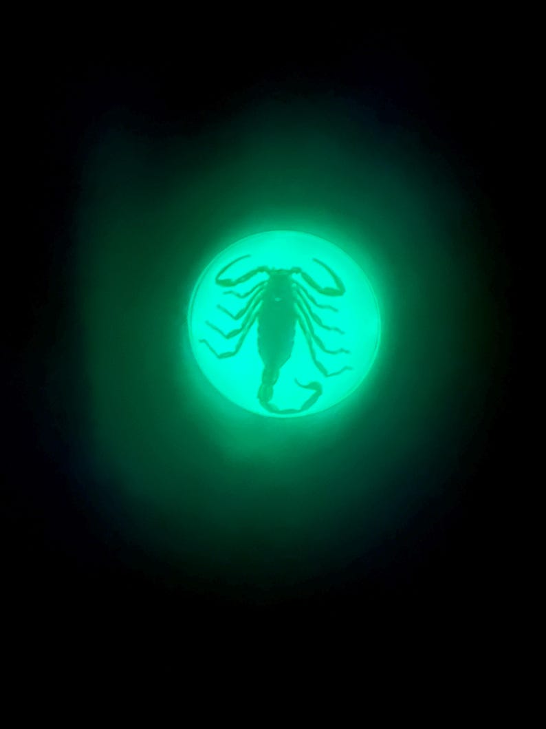May include: A circular object emitting a bright, glowing green light against a dark background. The center of the disc features a dark, detailed silhouette of a scorpion with its tail curved upward and multiple legs extended outward.