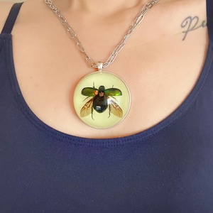 Real Green Chafer Beetle Spread Wings Necklace, Scarab Beetle Glow Specimen Gothic Necklace, Glow in Dark, Novelty Scary