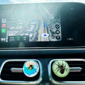 Real Spider Car Vent Clip, Gothic Aromatherapy Diffuser, Creepy Insect Decor, Witchy Style, Unique Gift