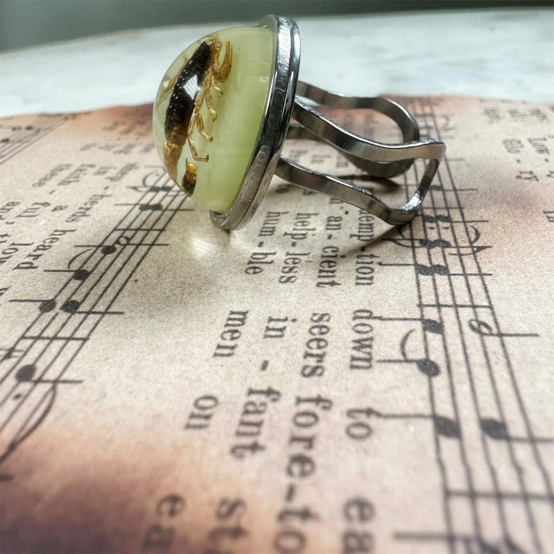 May include: A silver-toned metal ring featuring a dome-shaped, pale yellow resin cabochon. Encased within the resin is a dark brown scorpion specimen. The ring band is constructed from two thin, curved metal wires that meet at the setting.