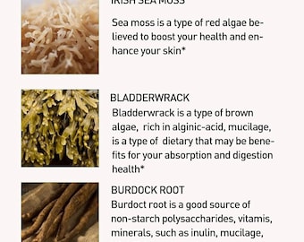 Sea Moss Plus! Capsules or Gummies. Contains a blend of Sea moss, Burdock Root & Bladderwrack