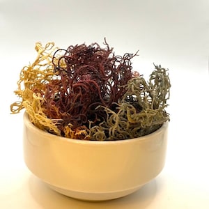 Wildcrafted Irish Sea Moss-Full Spectrum