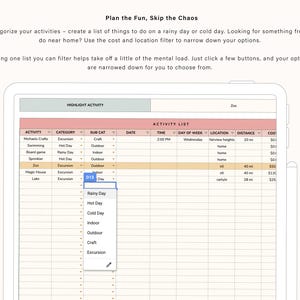 May include: A digital tablet displays a spreadsheet with activity categories and filters. The text "Plan the Fun, Skip the Chaos" is at the top. The spreadsheet includes columns for activity, category, sub-category, date, time, day of week, location, distance, and cost.