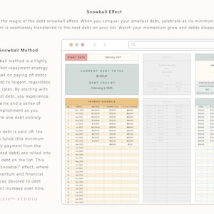 May include: A digital debt repayment tracker displayed on a browser window. The interface features a payment schedule table, a current debt total box, and individual credit card sections with fields for balance, APR, and monthly payment details.