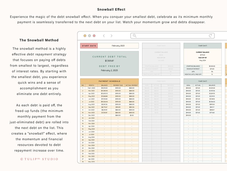 May include: A digital debt repayment tracker displayed on a browser window. The interface features a payment schedule table, a current debt total box, and individual credit card sections with fields for balance, APR, and monthly payment details.