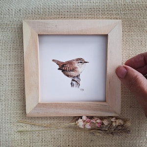 Può includere: Una cornice quadrata in legno contenente una stampa bianca di un piccolo scricciolo marrone appollaiato su un ramo. L'uccello presenta piume dettagliate marroni e color cuoio con un becco appuntito. Le iniziali dell'artista sono visibili in basso.