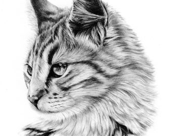 Custom hand drawn Pet Portrait, pencil pet drawing, graphite pencil drawing, Animal Lover, Personal Gift, Memorial Portrait, pet loss gift