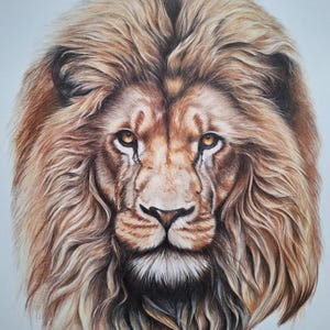 アフリカアート　ライオン【画家 サイン入り】(2) 絵画 イラスト アート ライオン 獅子 LION 黒 A4-k02 | iichi
