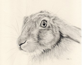 ORIGINAL hare sketch, hare portrait, A4, hare drawing on ivory paper, woodland portrait, woodland art, hare art, graphite drawing