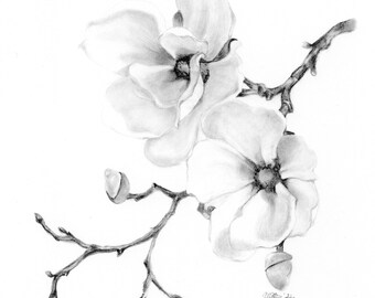 Dibujo a lápiz botánico ORIGINAL, arte de pared, naturaleza de jardín, dibujo de magnolia, boceto a lápiz, arte asequible, arte floral, A5, lápiz de grafito