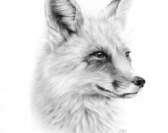 ORIGINAL Fox drawing, fox portrait, original fine art, A4 graphite pencil drawing, woodland portrait, woodland art, wall art, fox art