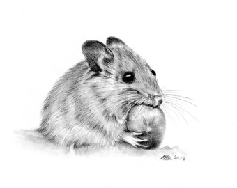 ORIGINAL Mouse Pencil Drawing, Wall Art, Garden Nature, Unique Gift, Pencil Sketch, Artwork Unframed, Mouse art, A5, woodland