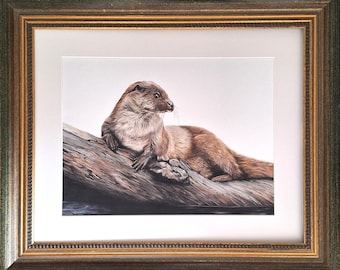 Dibujo original de nutria: retrato de fauna salvaje a lápiz de color, 40 x 50 cm en marco de madera de alta calidad, obra original de Mireille Both
