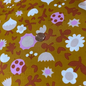 Petunia by Kimberly Kight for Ruby Star Society Sold by the 1/2 yard. 100% Cotton. Ladybug