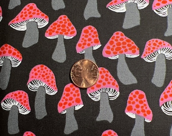 Ruby Star Society - Sarah Watts  Sold by the 1/2 yard. 100% Cotton. Firefly