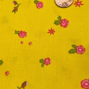 Alison Glass for Andover Fabrics. 100%Cotton. Sold by the 1/2 yard.