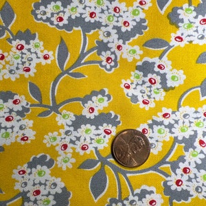 Mojito  by Another Point of View for Windham Fabrics. 100% Cotton. Sold by the 1/2 Yard.